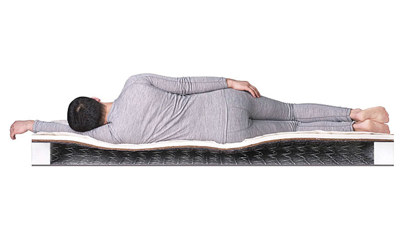 DreamLine Easy Norma BS фото 5